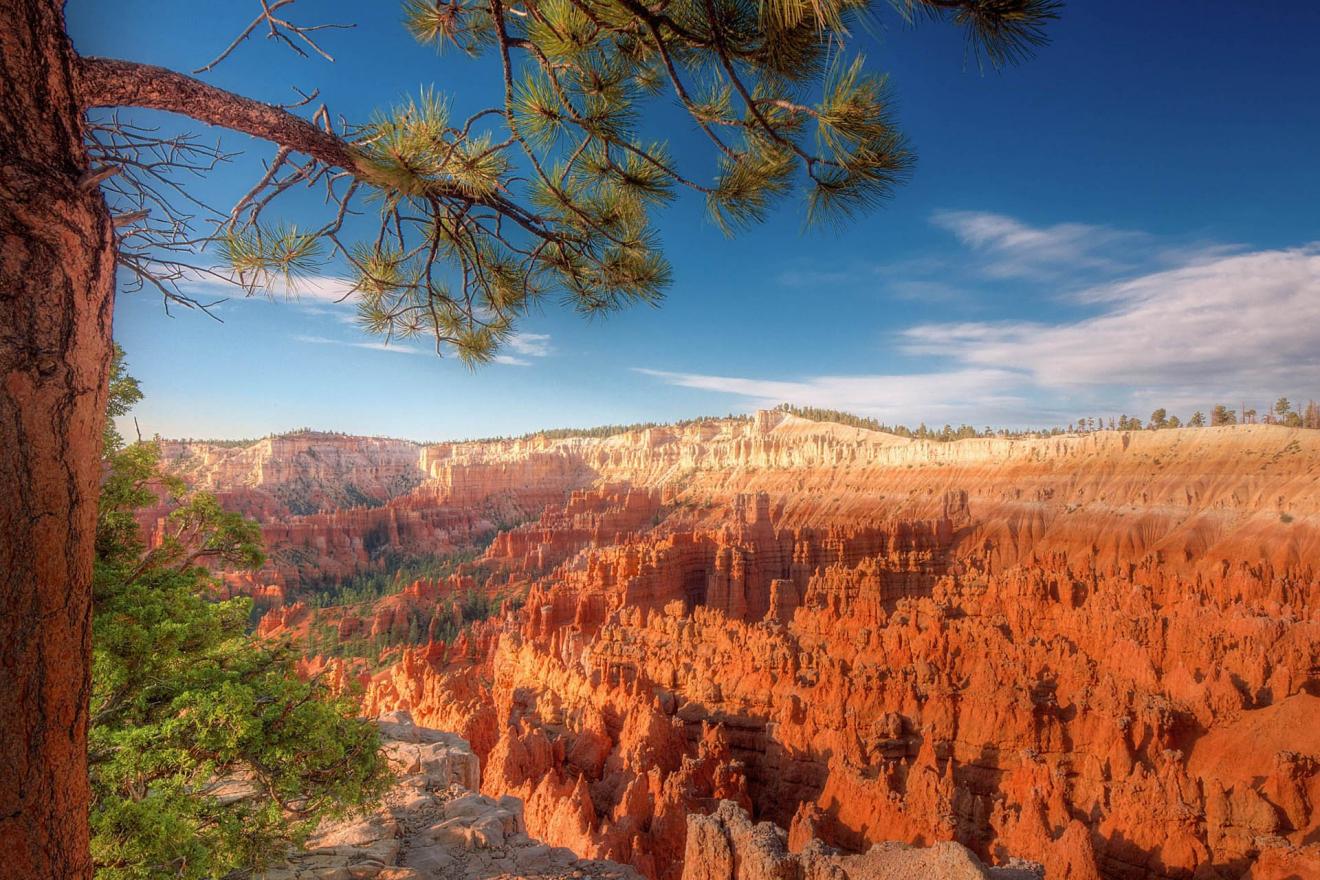 |职场中，自负的人有哪些特点？