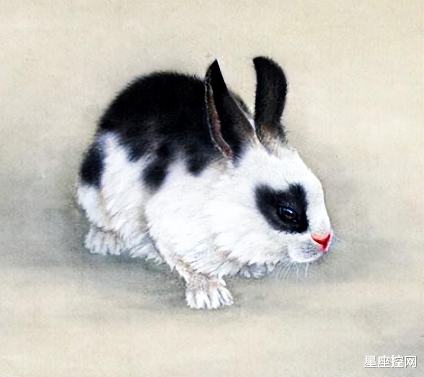 生肖|哪几个生肖的人，从职场新人到大神，人生如同开挂，一路顺风顺水