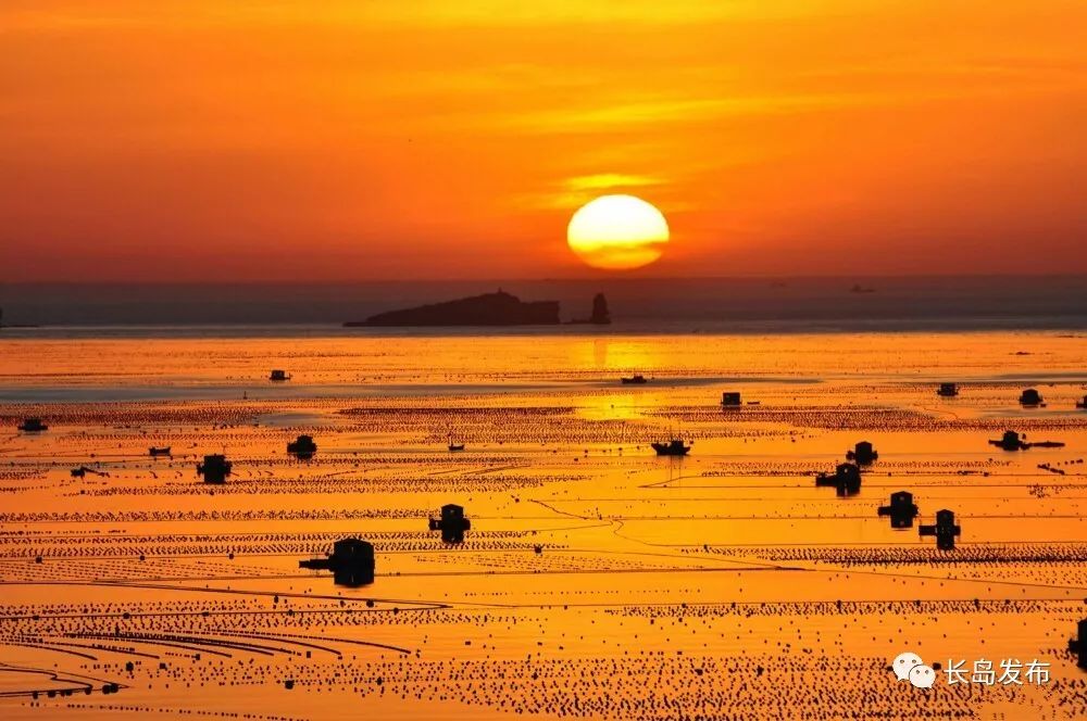 长岛|E起见证·这里是烟台 | 走进夏日长岛,带你看遍五彩世界