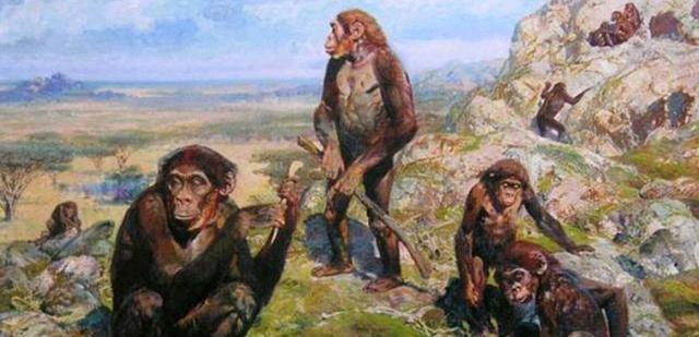 我国科学家打脸达尔文，人类不是古猿进化来的，鱼鳃就是证据