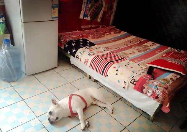 |和老公蜗居在10㎡的出租房,卖串串香为生,10年辛酸有了自己的家