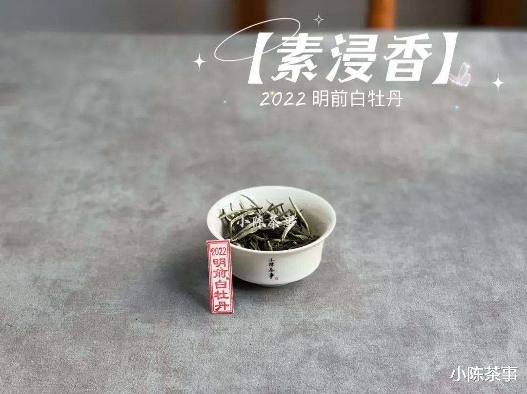 白茶|新手买春白茶,白毫银针和白牡丹该选哪个?或者有更好的选择?