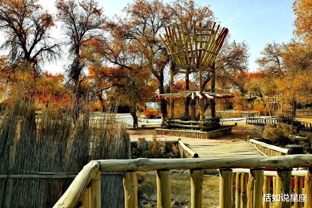 胡杨林|中国最贵的景区,一张门票3500元,外国人进去要交30万