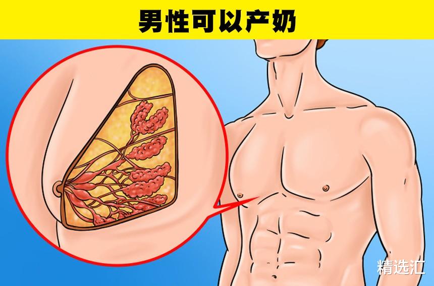 心脏|男性也可以产奶?你可能从未听说过的7件男性身体的有趣事实