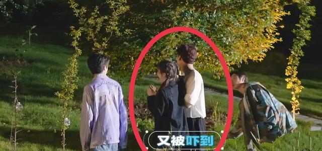 白敬亭|圆鱼洲：白敬亭杨超越撒糖，牵手搂腰摸头杀，细节甜度超标！