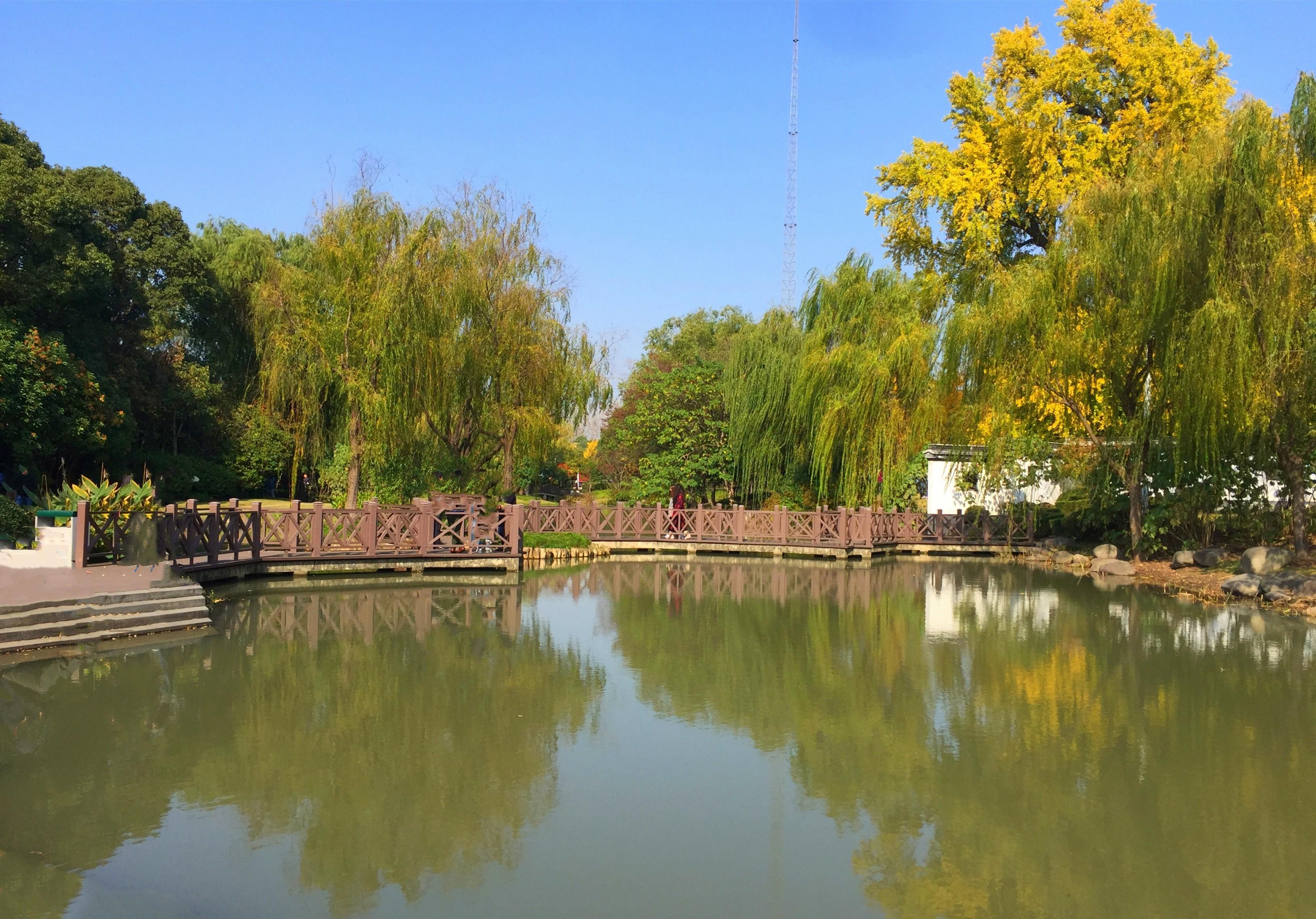 园林|上海江南园林,适合遛娃拍照赏秋,不要门票还有1200年古银杏树