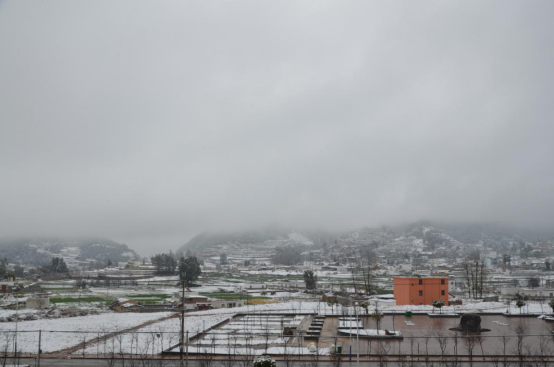 安徽|东川拖布卡惊现樱花雪