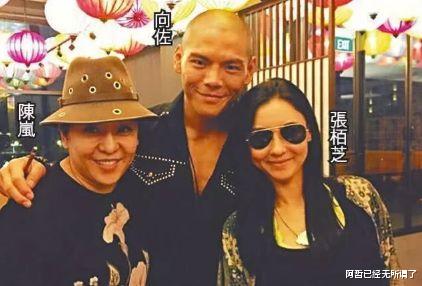 向太|向佐7任女友都没入向太的眼,唯一相中的郭碧婷还是被出轨了?