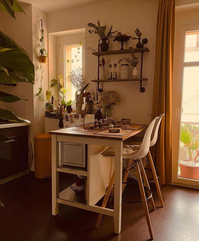 给家里多点绿!一个女孩住的丛林之家,绿野仙踪在都市里也能实现