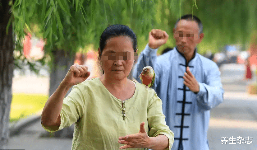 医生|65岁阿姨仅用半年血压从159降至119,医生:她的3条降压妙招,值得借鉴