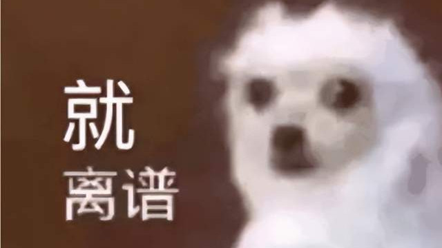 深蹲 搞笑：教练，减肥需要本人过去吗？人类果然无法互相理解的