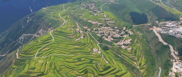 草原|海拔3000米的高原草甸上，藏着宫崎骏的夏天