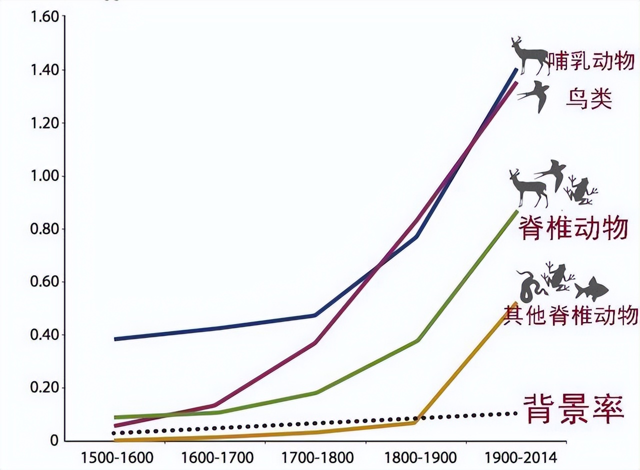 140年后再度重现!灭绝生物忽然出现,究竟是为什么?