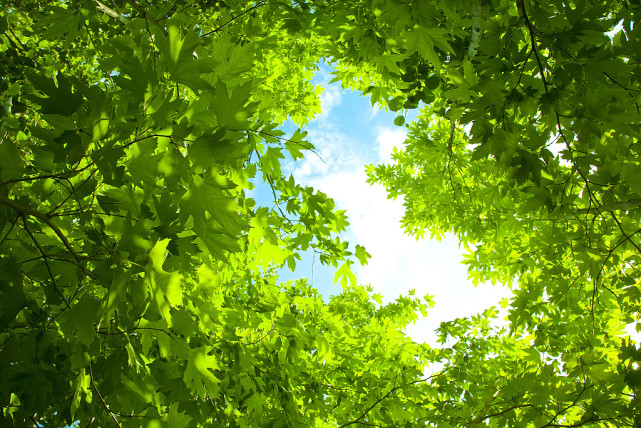 牛皮癣|夏天预防牛皮癣的方法有哪些