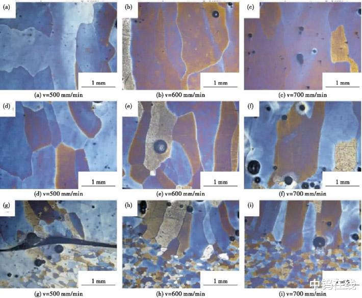大屏|3D打印钼合金的微观组织