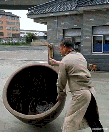 神乐|“手办掉地上三天，保姆捡起来重新组合！”真是画风奇特！