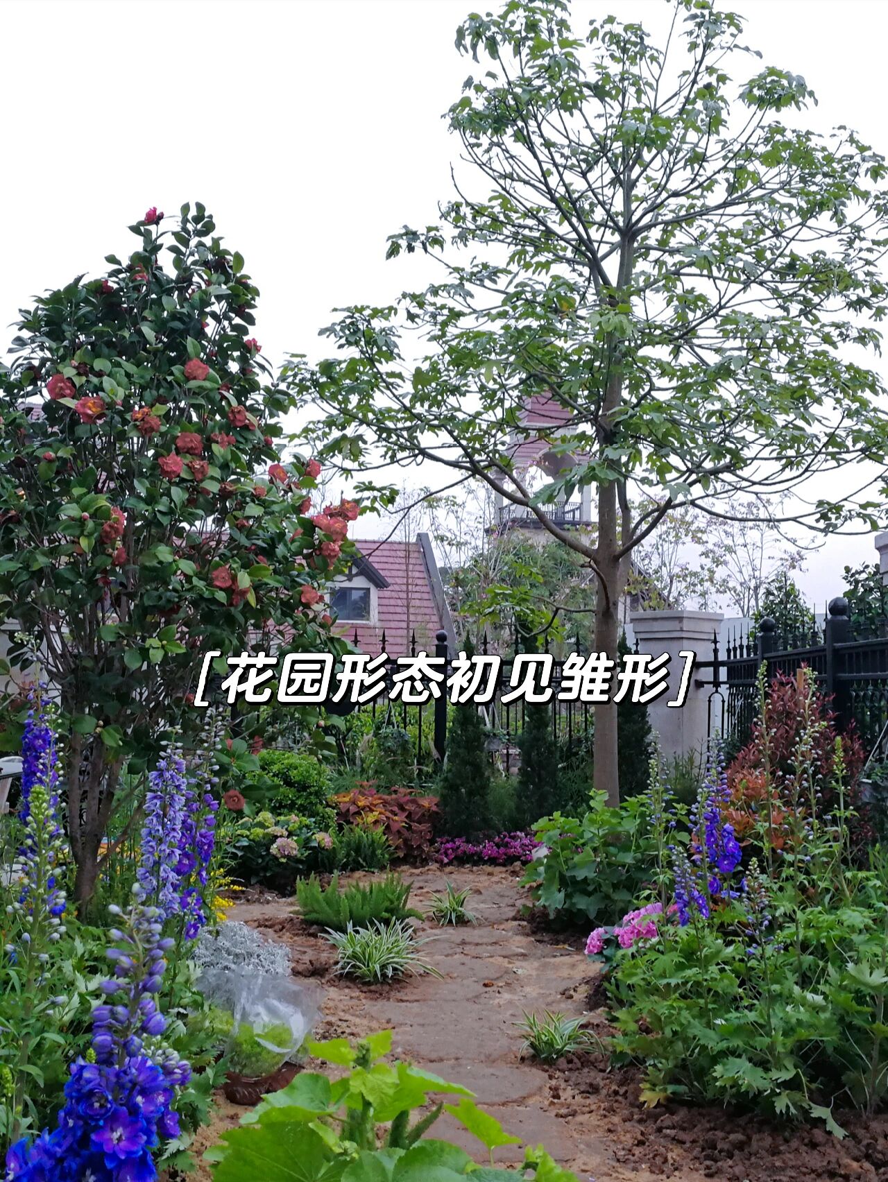 凌乱小院,自己动手搭配改造,变身浪漫的英式小花园