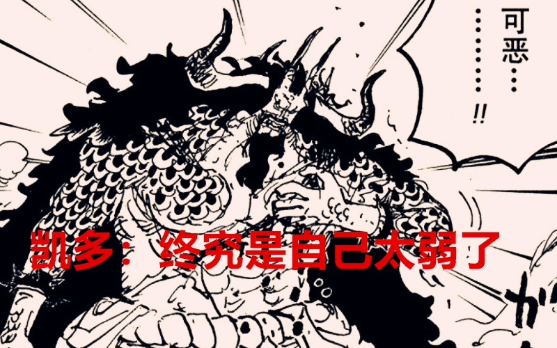 五老星|海贼王1037话：五老星凭啥觉得罗宾已经被捉了？凯多又翻白眼了