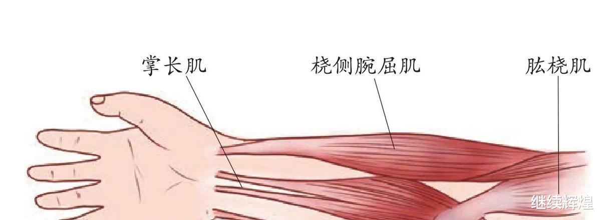 人体是最精密的机器?先别盲目自信!人体至少有五个进化的漏洞