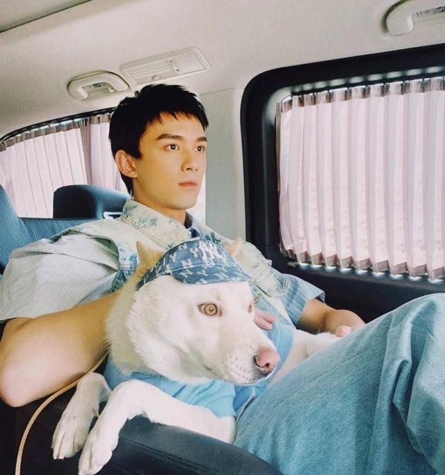 吴磊|吴磊、赵露思粉红泡泡满天飞，腹肌、胸肌一次看，与胡歌亦兄亦友