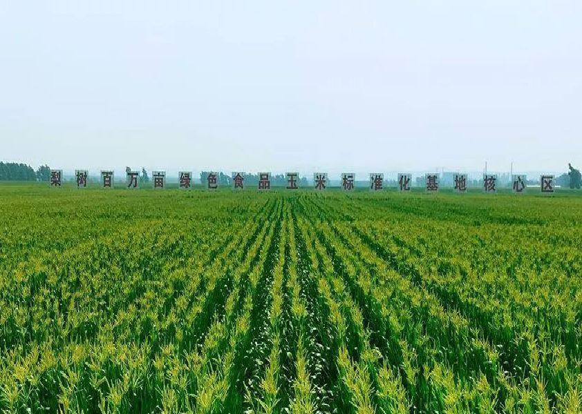 |青春环游记,怎能少得了一场“英雄之旅”!