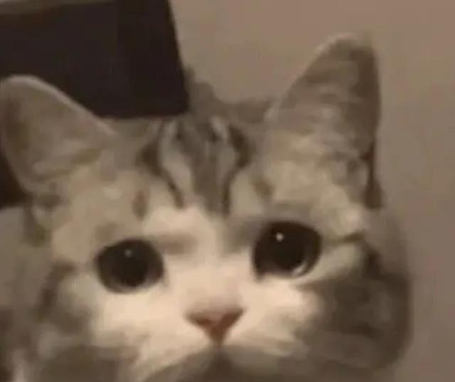 处女座|“35岁入职新公司，上司只有27岁”：中年人跳槽，是一场大型尴尬