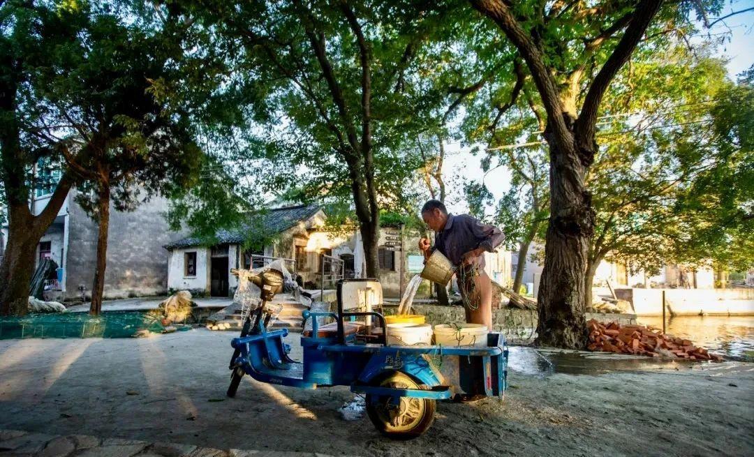 苏州|魔都周边最孤独的小岛，仅1%国人知道