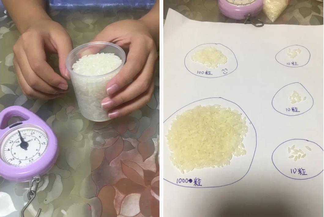 老师布置“奇葩”作业数一万粒米,全家出动忙到深夜,引网友吐槽