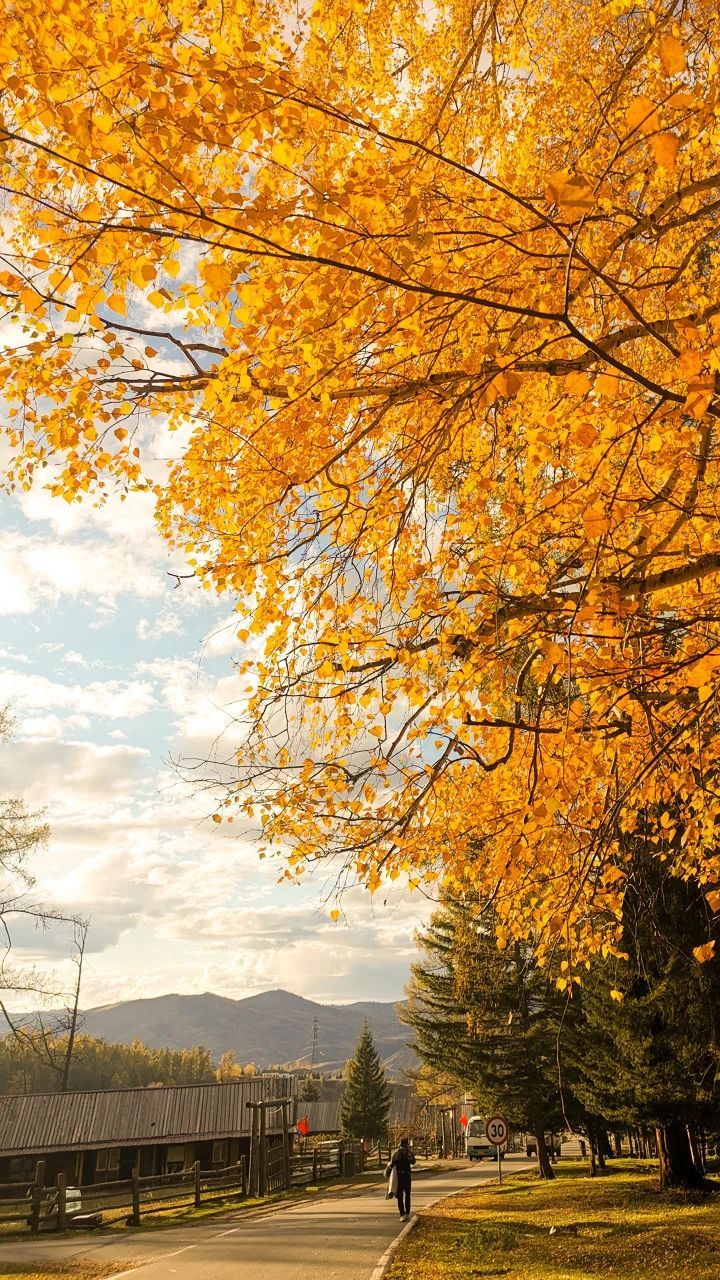 徽州|至美绝色！中国南方的秋天，哪儿都美