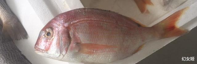 大部分淡水鱼在海中活不了，黄河每天冲鱼入海，它们都去哪里了？