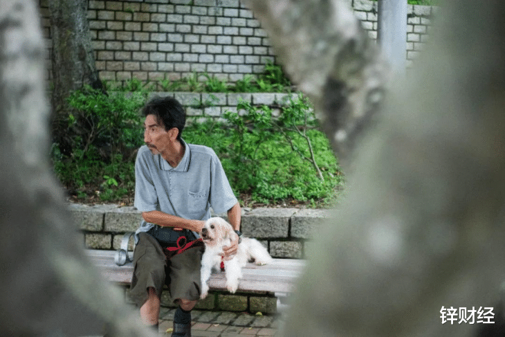 流量明星|批量制造流量明星,内娱正在扯下遮羞布