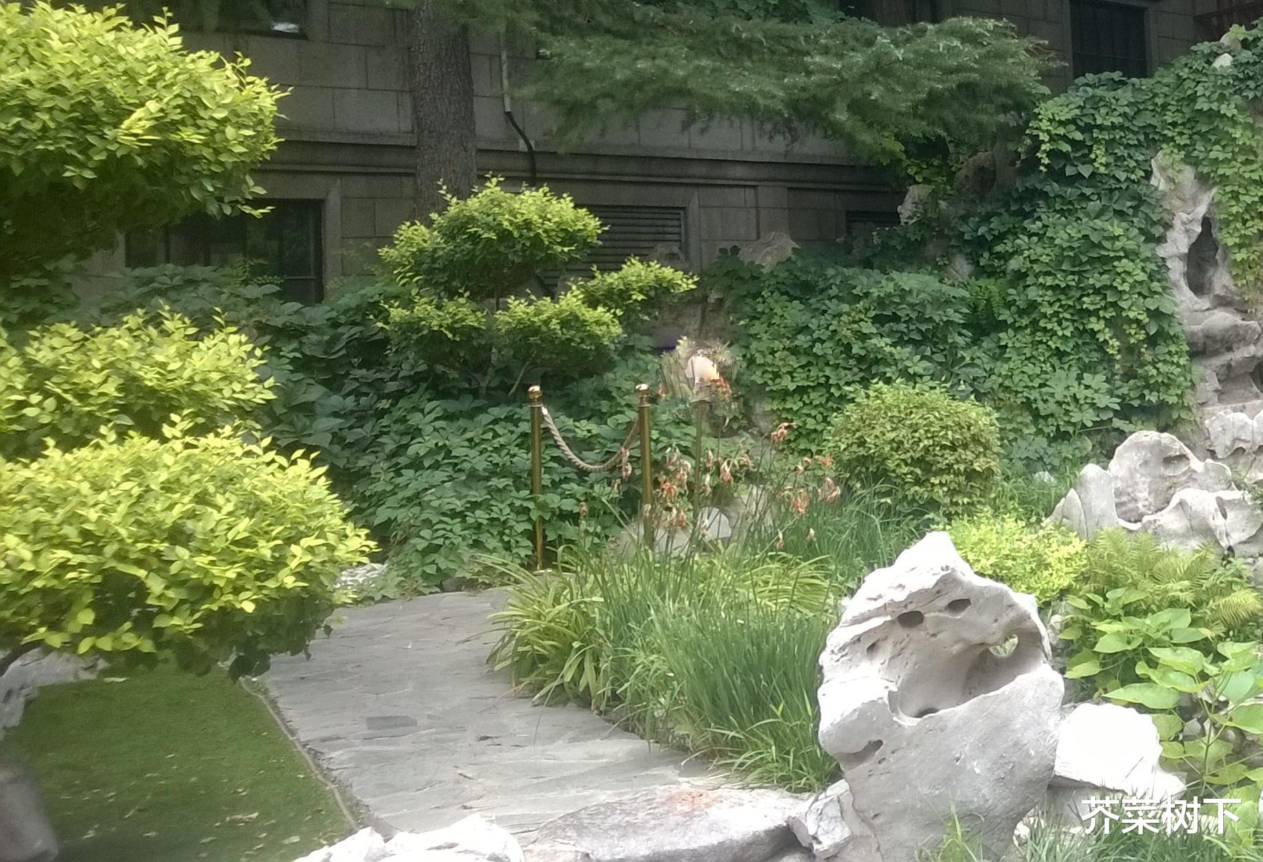 |再谈职场焦虑,能要与想要