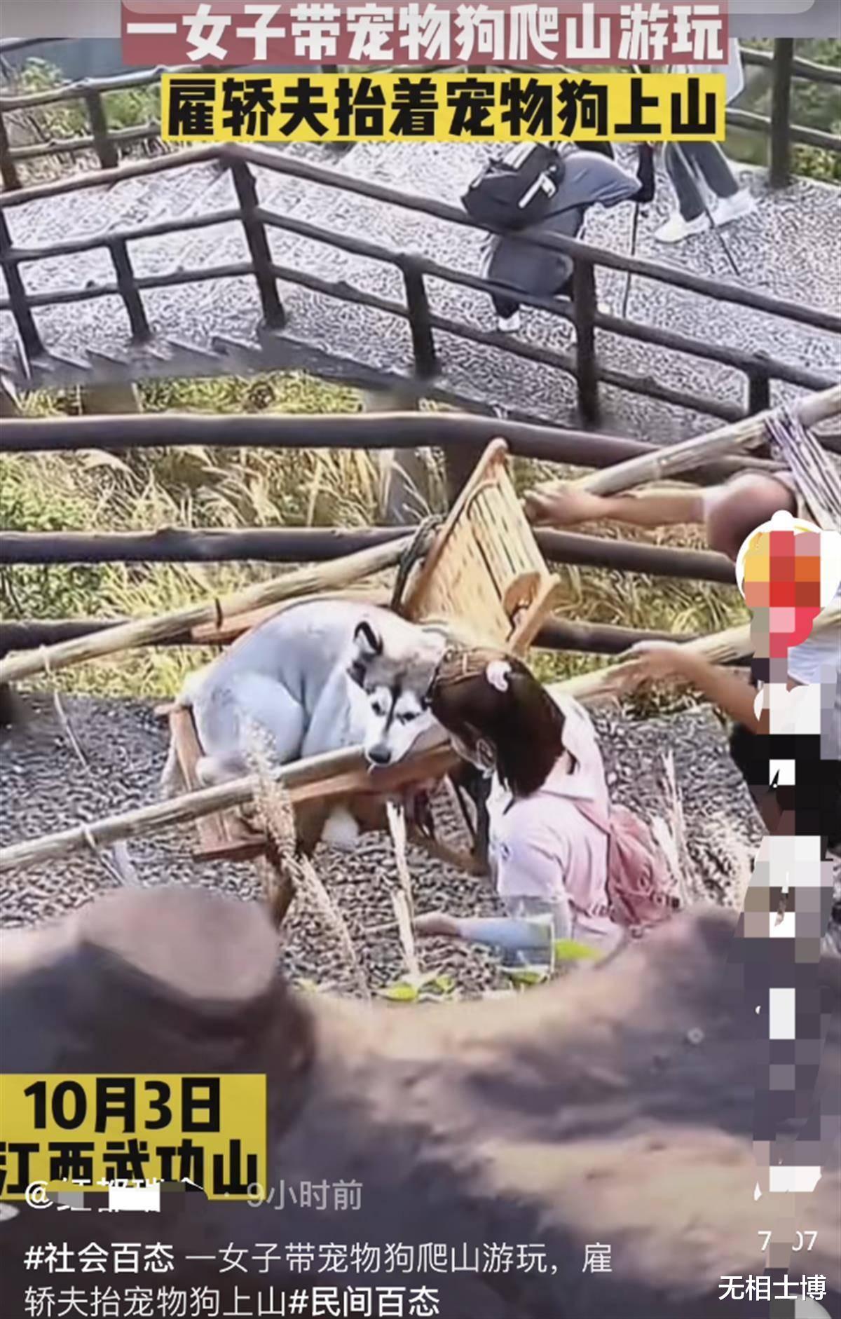 女子雇轿夫抬狗上山遭质疑,盲目的“善意”是在砸他人饭碗
