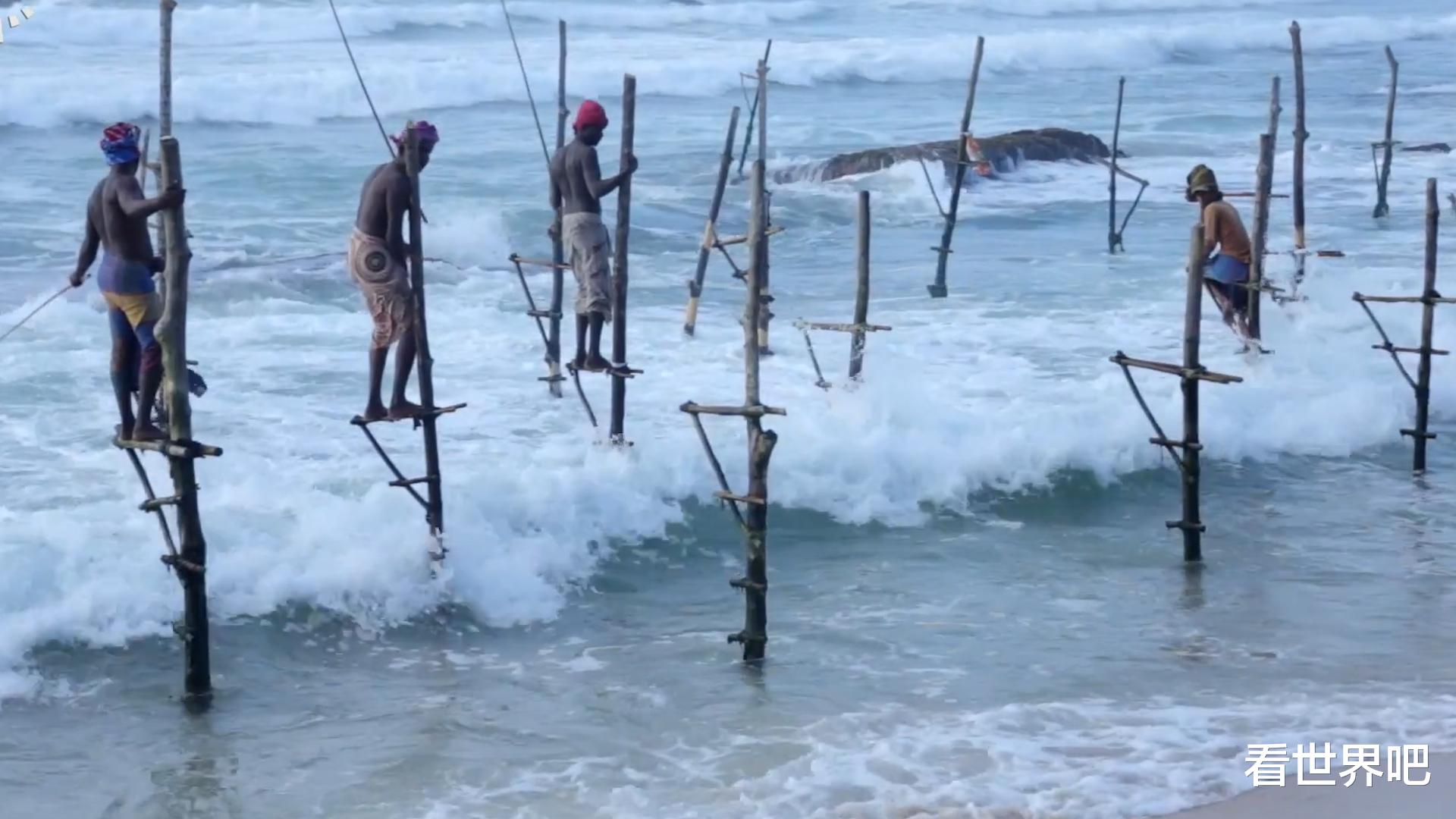 |斯里兰卡独一无二的“无饵立竿钓”,可以说是用生命在钓鱼了