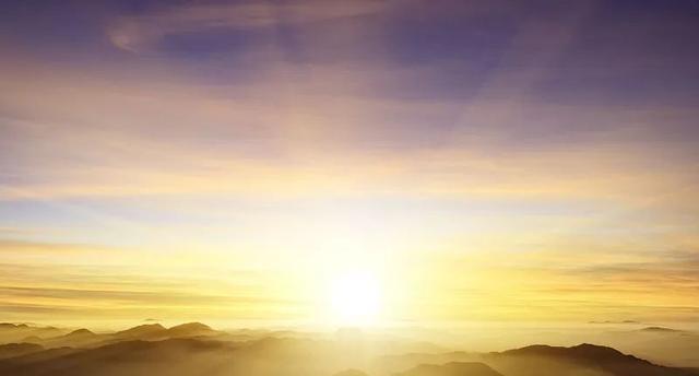 白发|38个冷知识:虽然没有用,但是可以增长见识,原来考拉这么爱睡觉