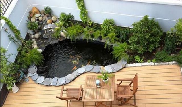 阳台不晒衣服、不种花,打算用来养鱼?这4点不注意,你还是外行