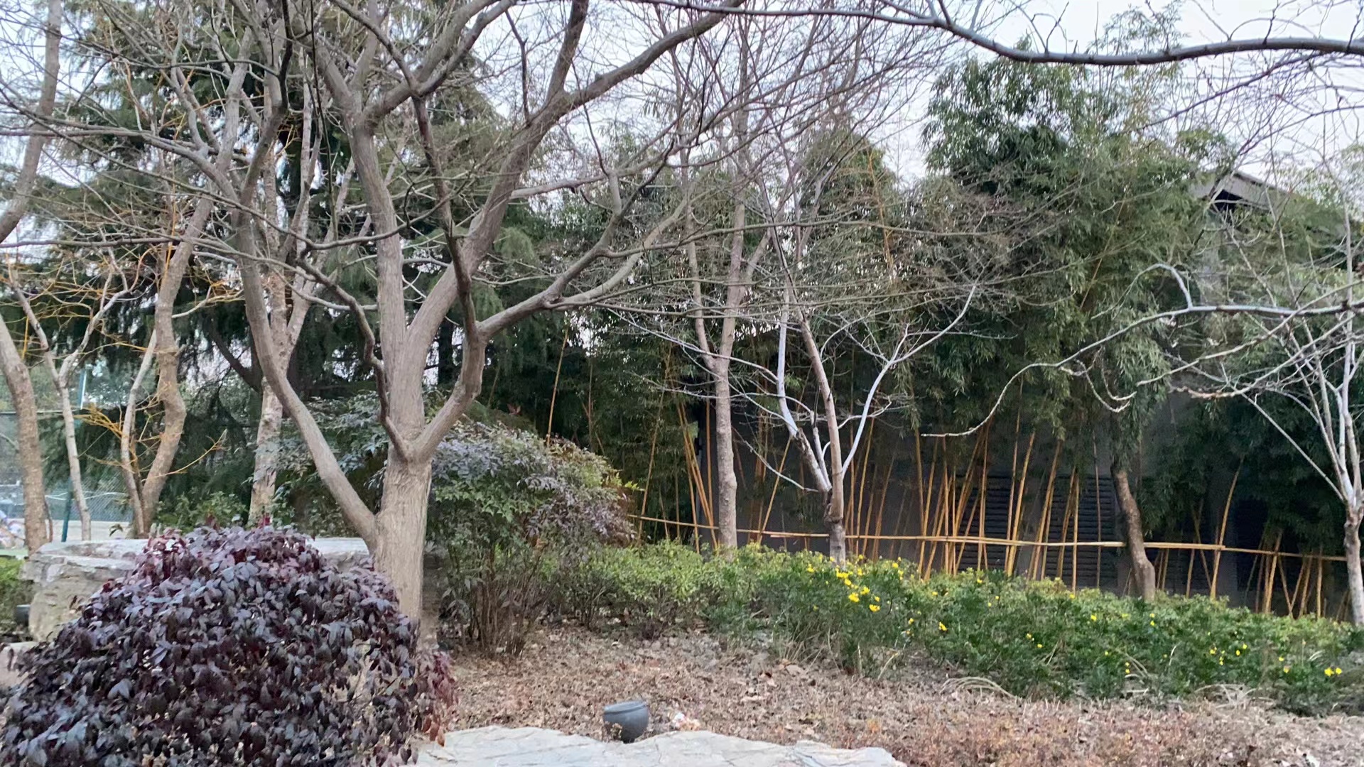 |同一个小区如何选楼栋?