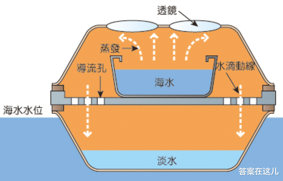 海洋动物也需要喝水,但海水很咸不能喝,那它们怎么喝到水?