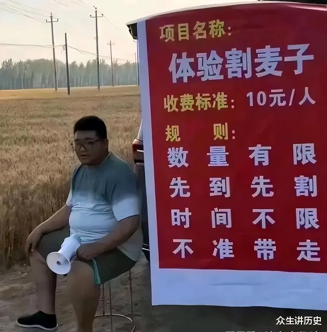 大学生|专家建议大学生“付费打工”缓解压力