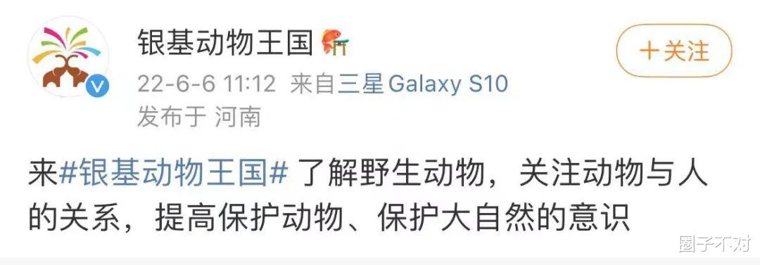 仔细看,这滴眼泪淹没的是不是你心目中的人道主义