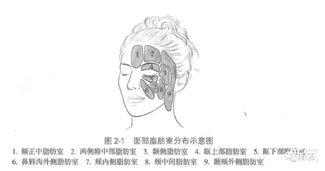 裴珠泫|之前耍大牌事件后半隐退好久的裴珠泫，悄咪咪复出了？