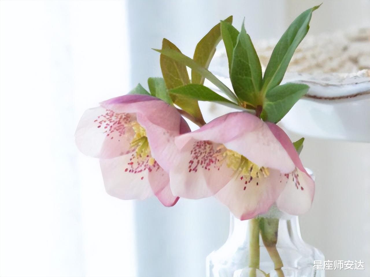 天秤座|善良温柔，不争不抢的星座，但他们很清醒，谦卑但不会卑微