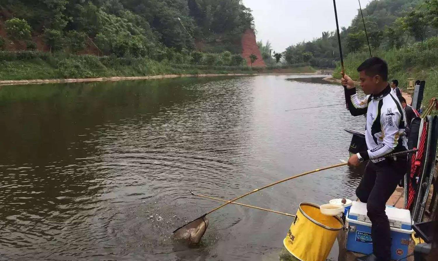 |天热鲫鱼不好钓,熟记这四个技巧,天气再热也能连竿上鱼