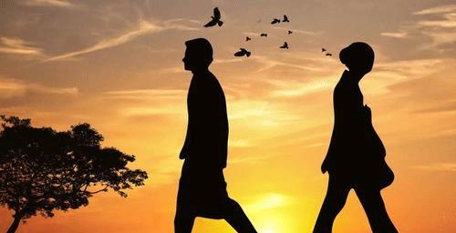 杨树林|杨树林22岁拜师赵本山，娶230斤胖丫，今妻子入狱他在外苦等