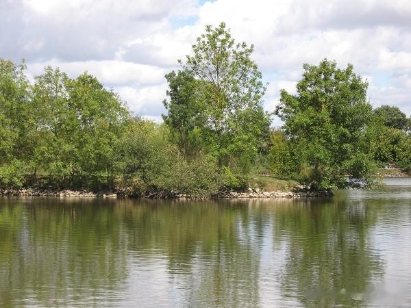 话说欧鲤钓|《话说欧鲤钓》抛投篇 精准节
