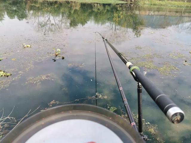 |老钓位和新钓位哪个更好？别盲目从众，根据自身情况选择最靠谱