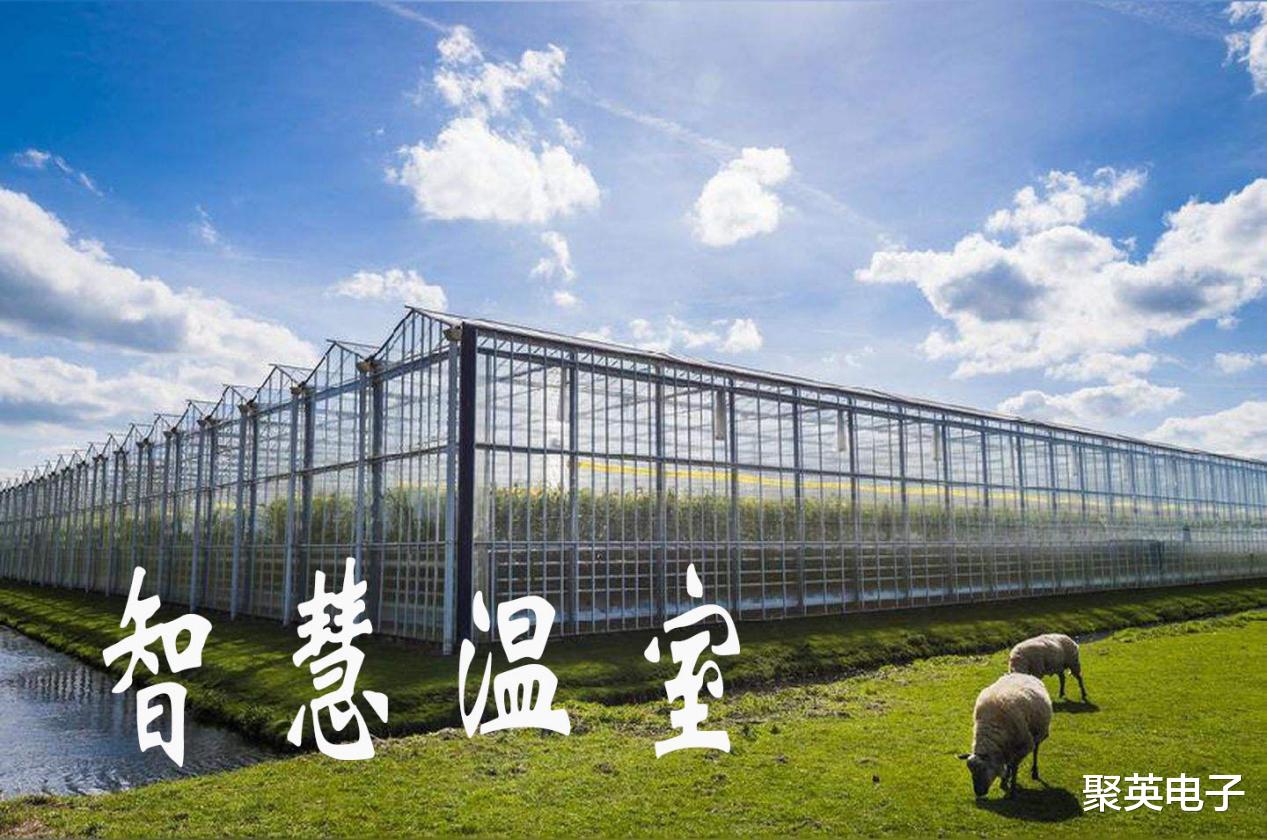 网络安全|荷兰智慧温室物联网系统方案应用，如此管理大棚
