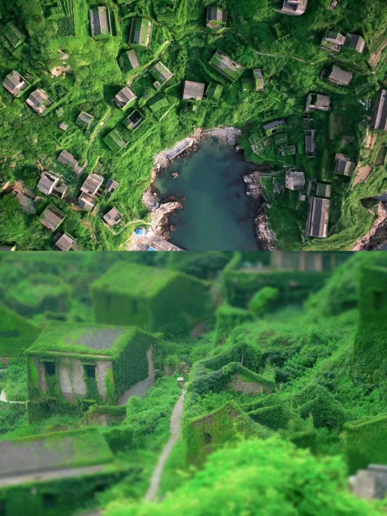 旅行|毕业旅行去哪儿？去欣赏一下宁波周边的山河湖海，夏日绝美