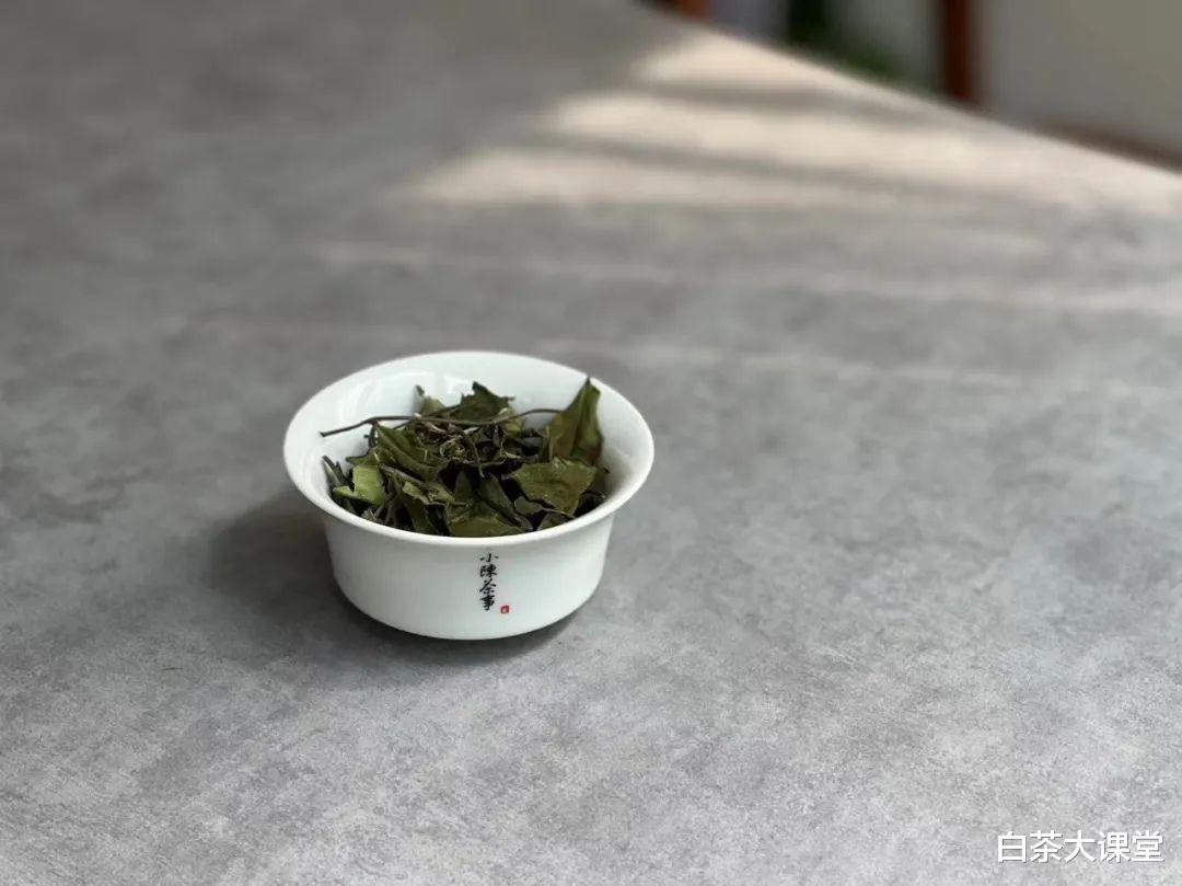 茶叶|闻干茶香要“摇一摇”,闻盖香要“趁热”,全是老茶客经验之谈