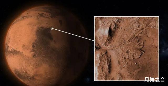 火星沙丘惊现“黑树林”“火星生命”新证据?NASA拍摄到火星上有森林和灌木丛?